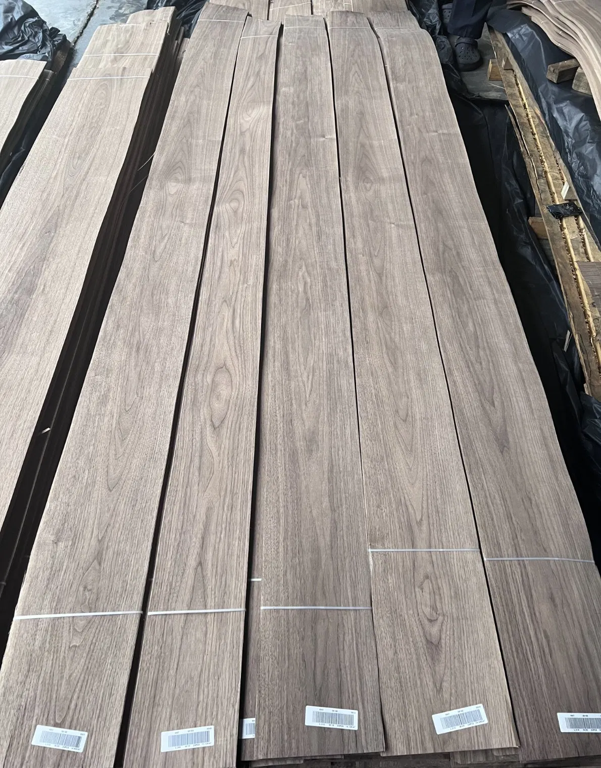 Natural American Walnut Veneer Wholesale for Furniture Finishing