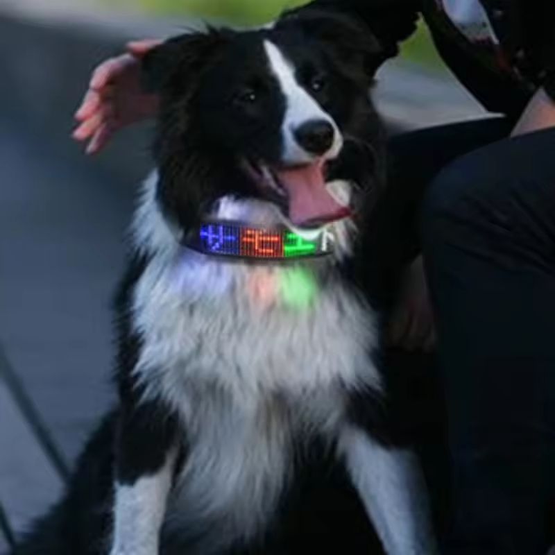 New Arrivals Dog Cat Indoor Rechargeable Lighting Flashing LED Band