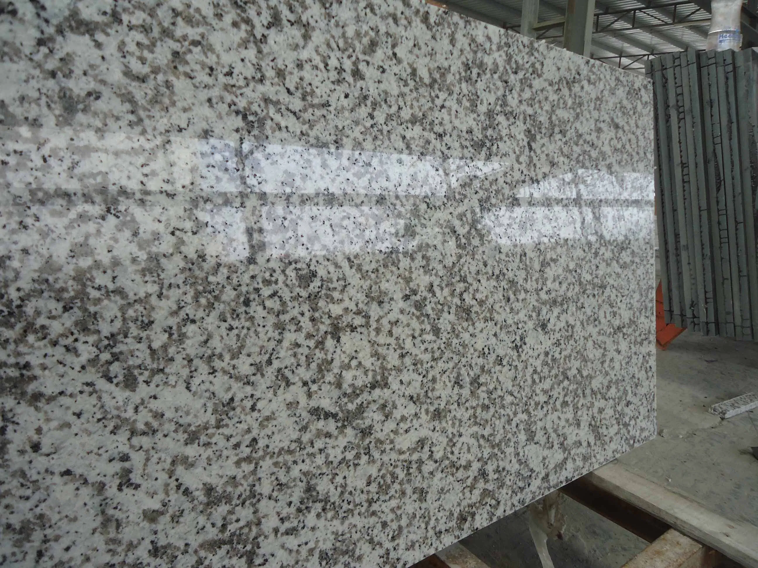 G439 Granite for Kitchen Counter Top Vanity Top