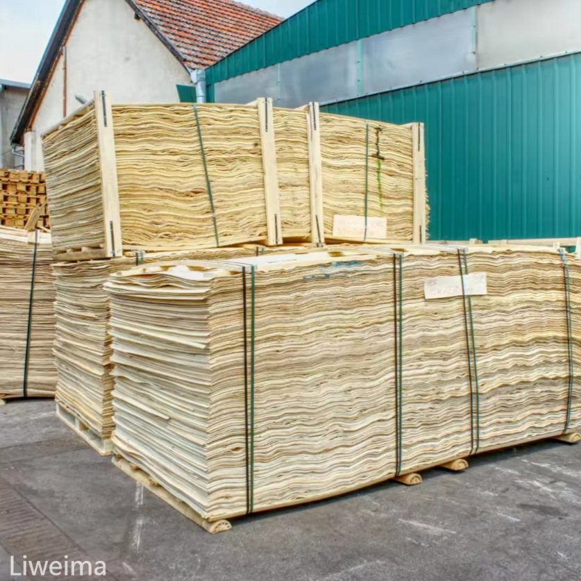 Hot Sale Natural White Birch Veneer Lwm-BV-02