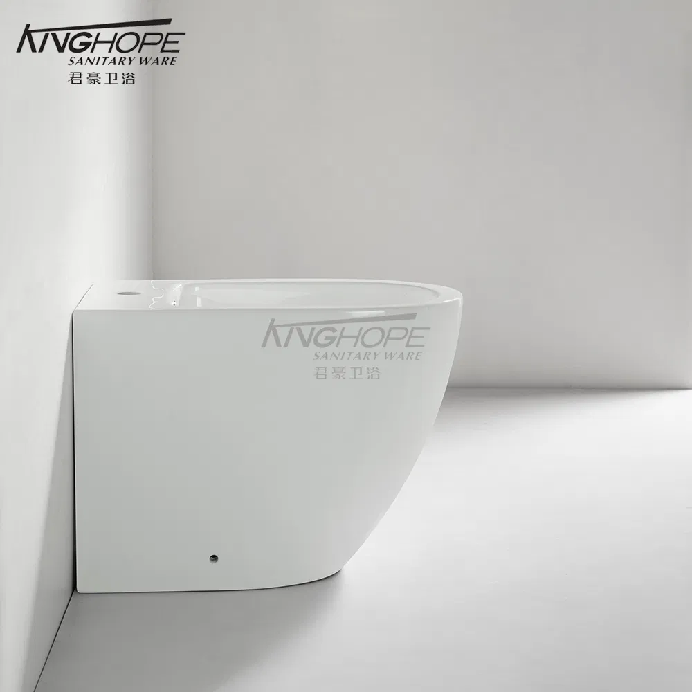 Minimalist Style Bathroom Furniture Ceramic Sanitary Ware Floor Standing Handheld Bidet