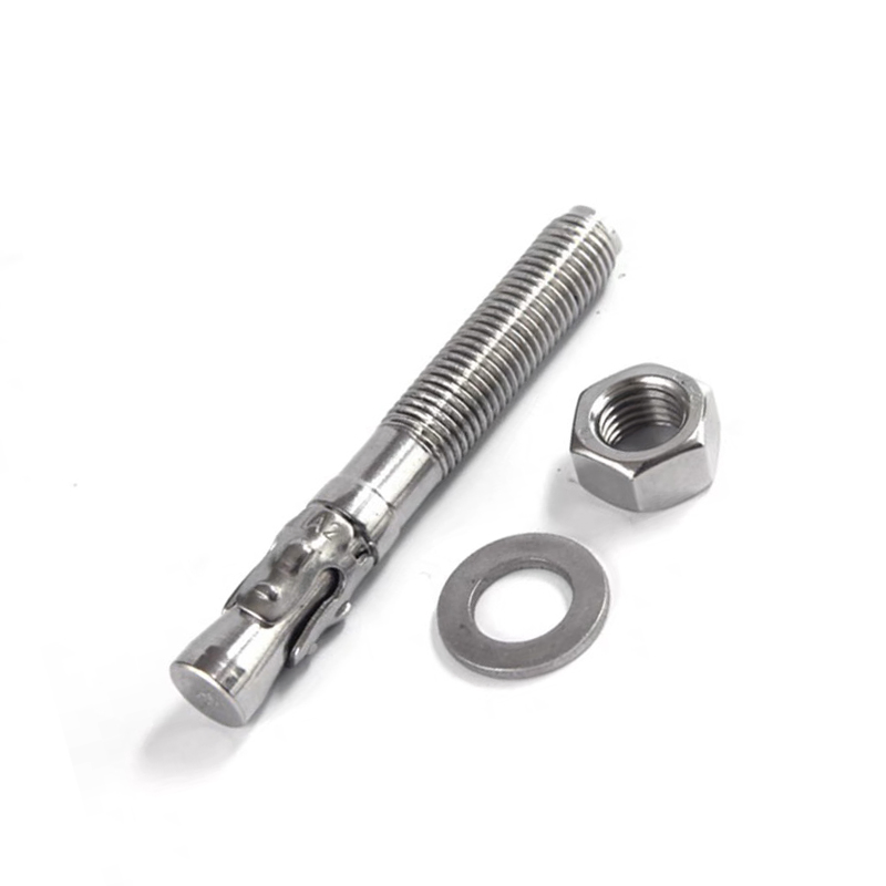 316 M6 Expansion Hex Washer Nut Bolt Anchor