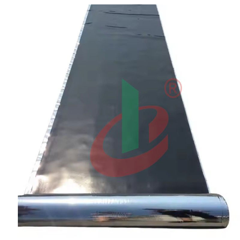 Durable Ice and Water Shield Underlayment Self Adhesive Bitumen Waterproof Waterproofing Roofing Membrane 1m*20m Roofing Felt