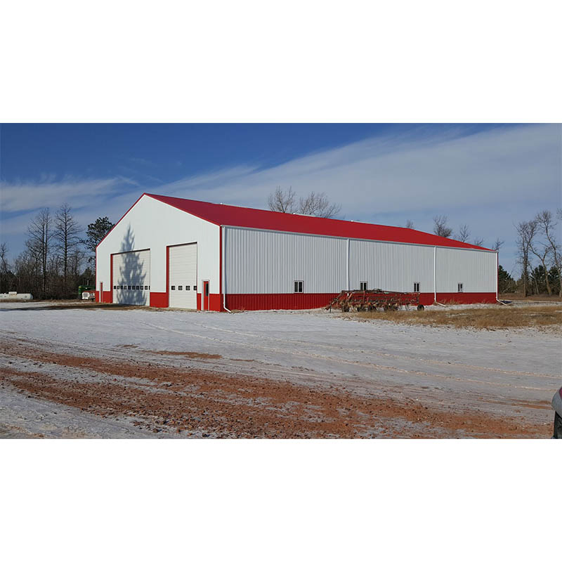 Workshop Hangar Warehouse Storage Shed/Garage/Hangar Steel Structure Warehouse Garage
