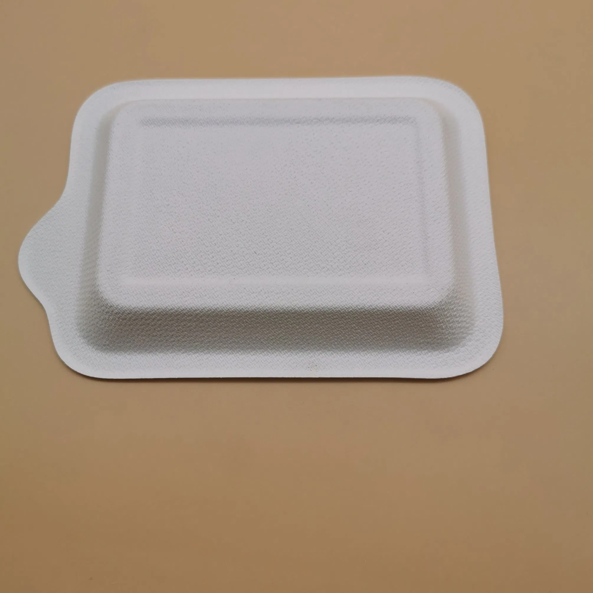 Wholesale Biodegradable Cake Plates Sugarcane Bagasse Dessert Dish Disposable Baby Tray