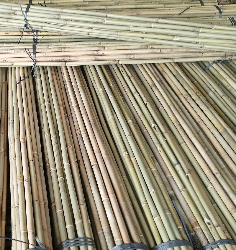 Bamboo Stick Are Manufactured by Professional Factories in China