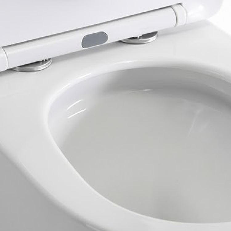 Sanitary Ware Modern Designed P Trap Wall Mounted Ceramic Wc Toilet Bowl Wall Hung Toilet Wc for Bathroom