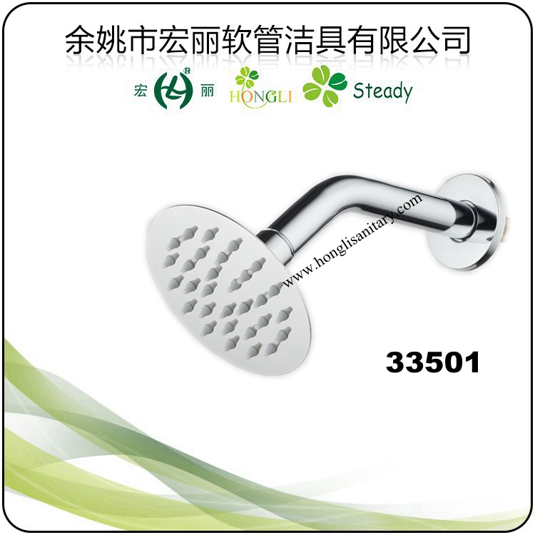 33503 Stainless Steel Shower Head with Stainless Steel Arm