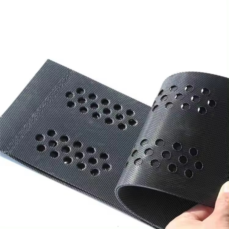 Manufacturer Directly Supply Price Soil Stabilizer Ground Grid HDPE Smooth 200mm Plastic Geocell