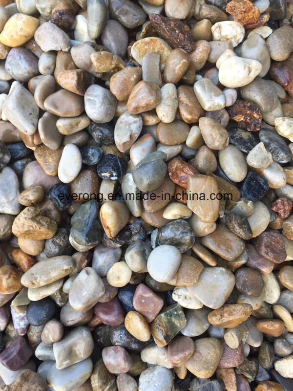 Natural Multi-Colors Oval Pebble Stone for Paving Garden