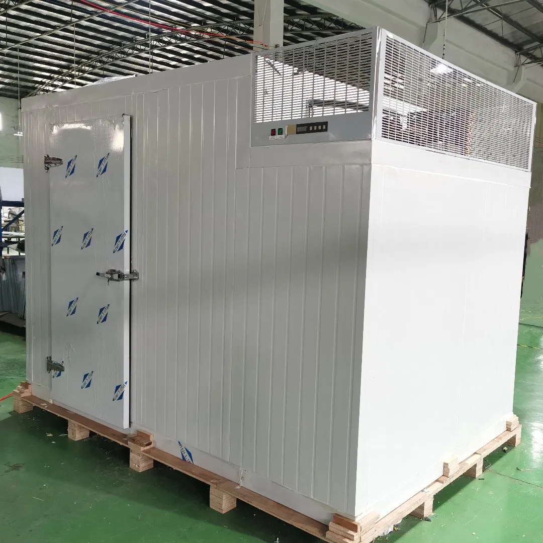 0~5 Fruit Vegetable Cold Room and -22 Meat Fish Frozen Cold Room