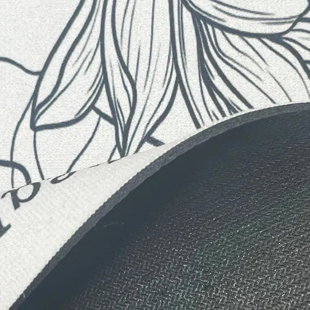 New Printed Custom Easy to Clean Mat Non-Slip Large Modern Carpets for Family Kitchen and Bathroom Carpet Well Selling Hemicycle Carpet Diatom Earth