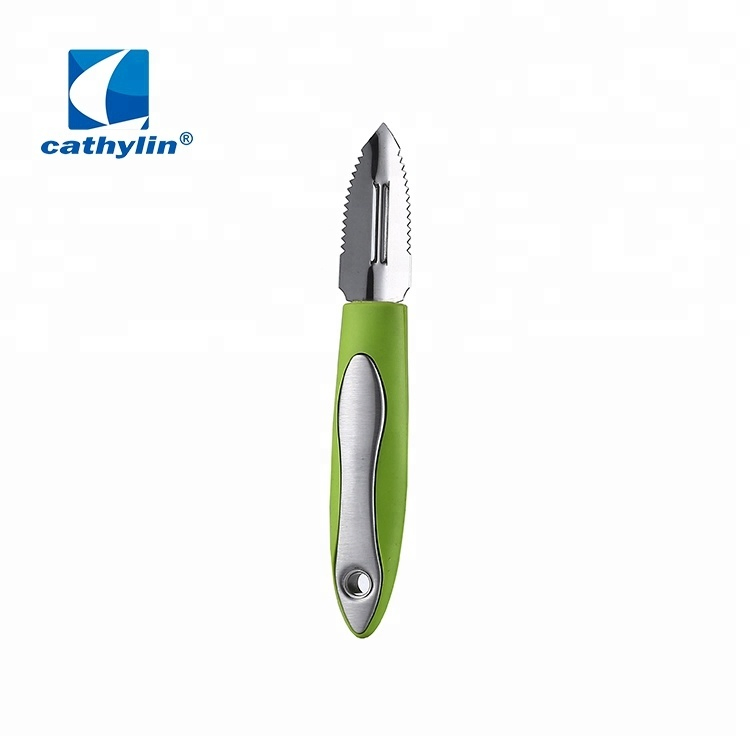 Amazon High Quality Stainless Steel Vegetables Scales Scraper Kitchen Gadgets
