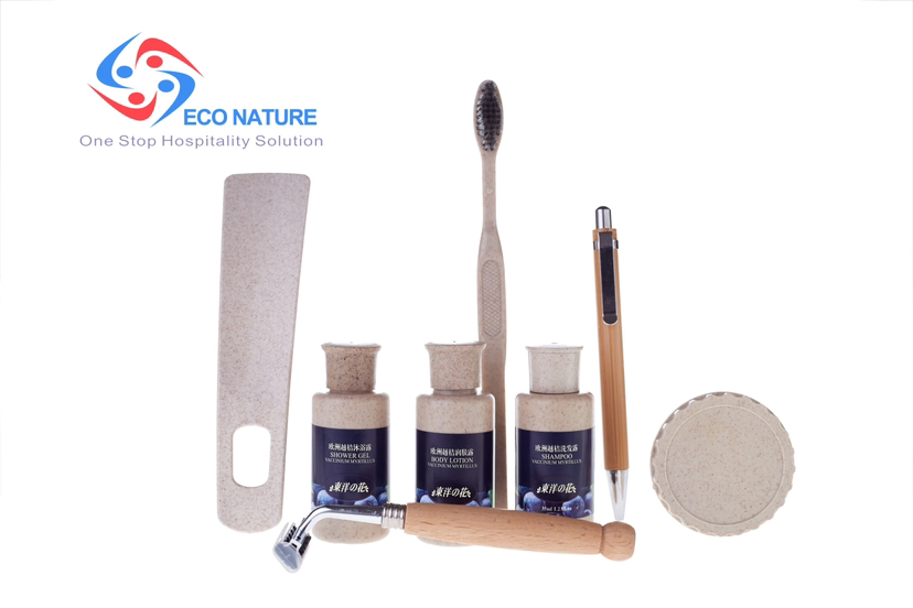 Hotel Manufacturer Hot Sale Biodegradable Hotel Amenity Guest Hygiene Toiletry Set