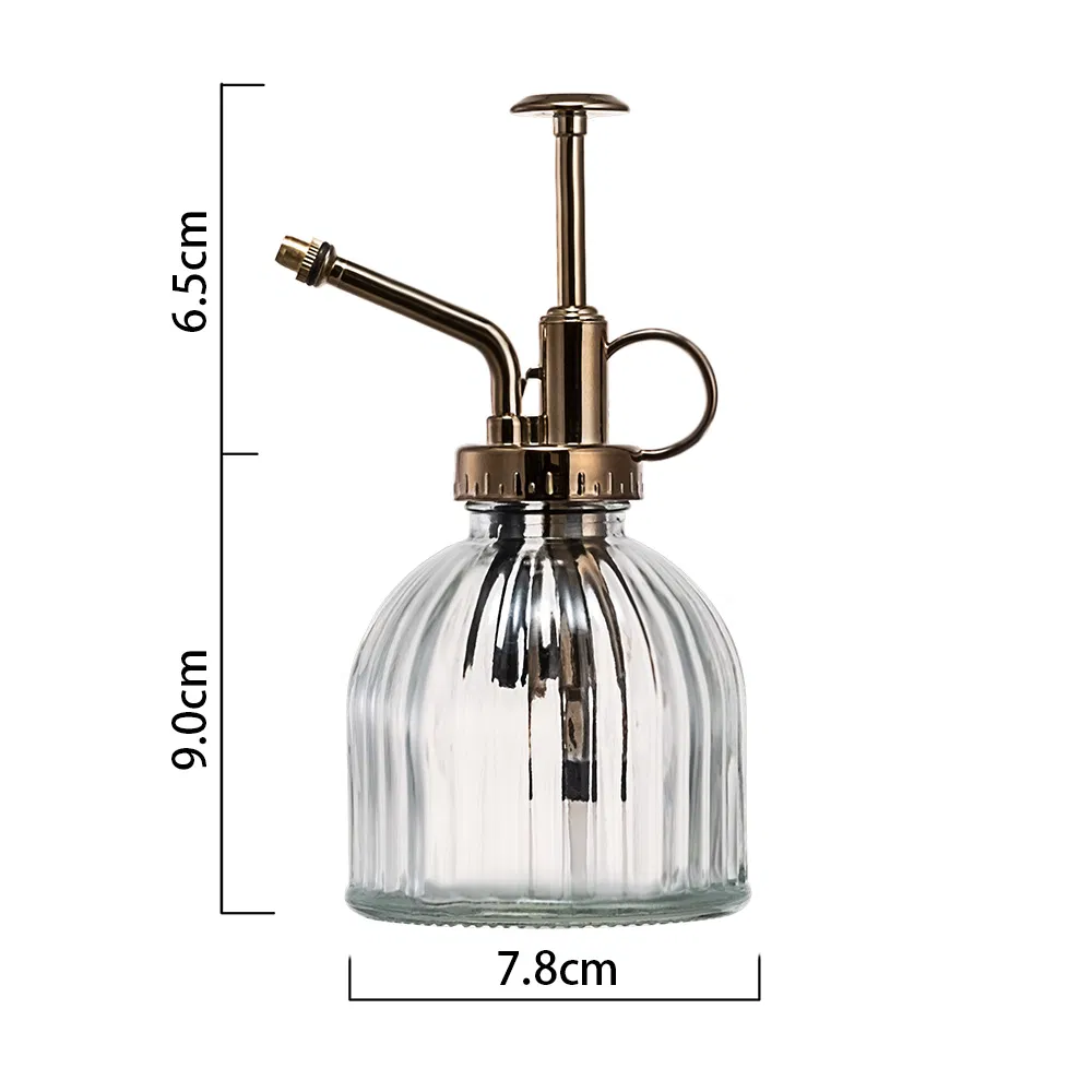 Small Glass Watering Can 200ml Spray Bottle Glass Plant Mister with Plastic Top Pump for Indoor Potted Plants