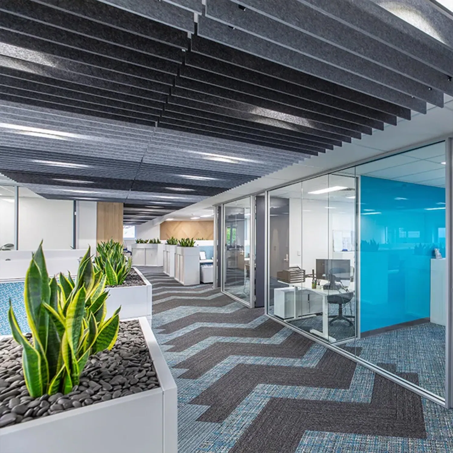 Pet Acoustical Ceiling Tile