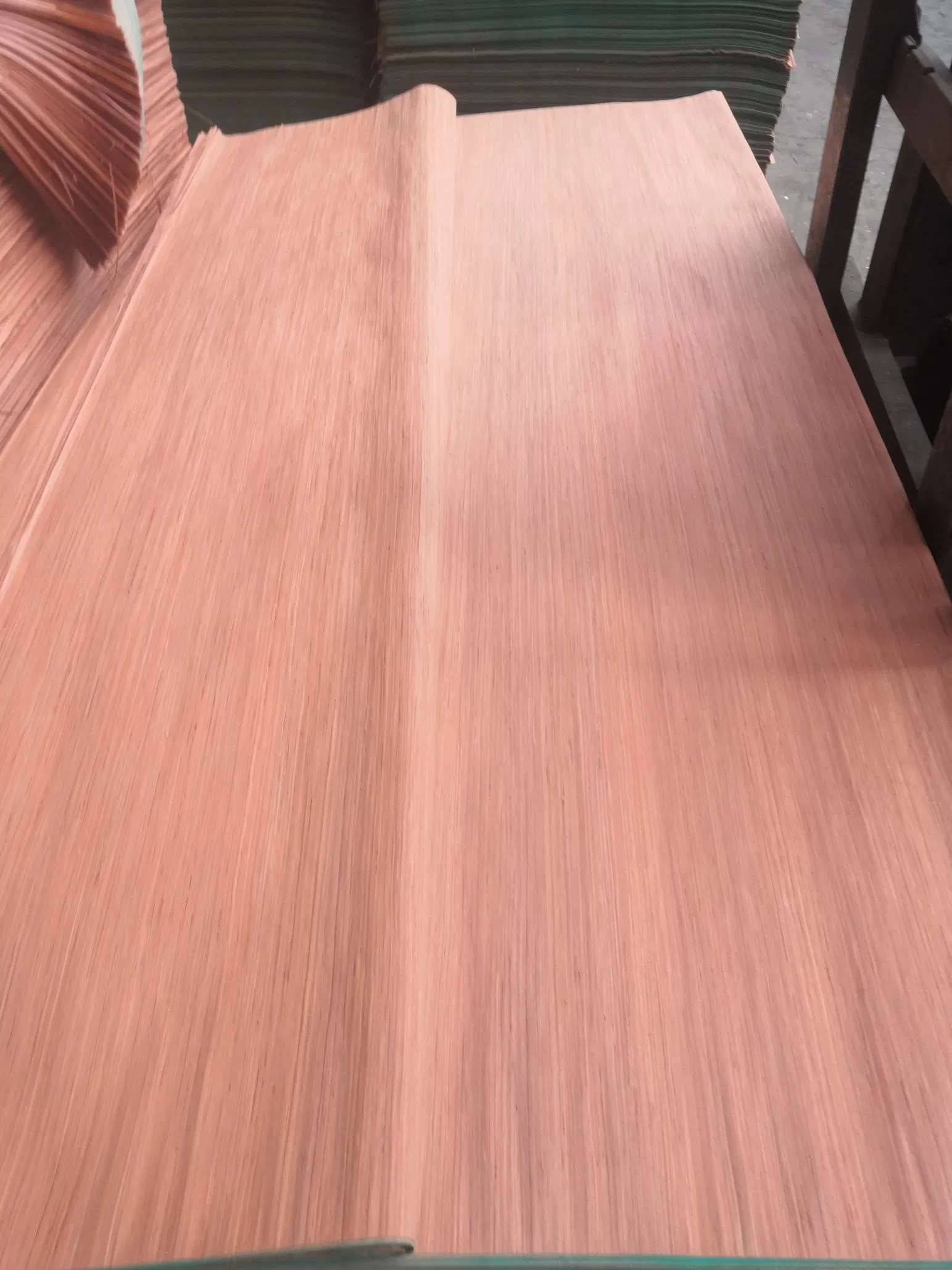 0.3mm Rotary Cut Red Hardwood Natural Face Wood Eucalyptus Veneer for Making Plywood