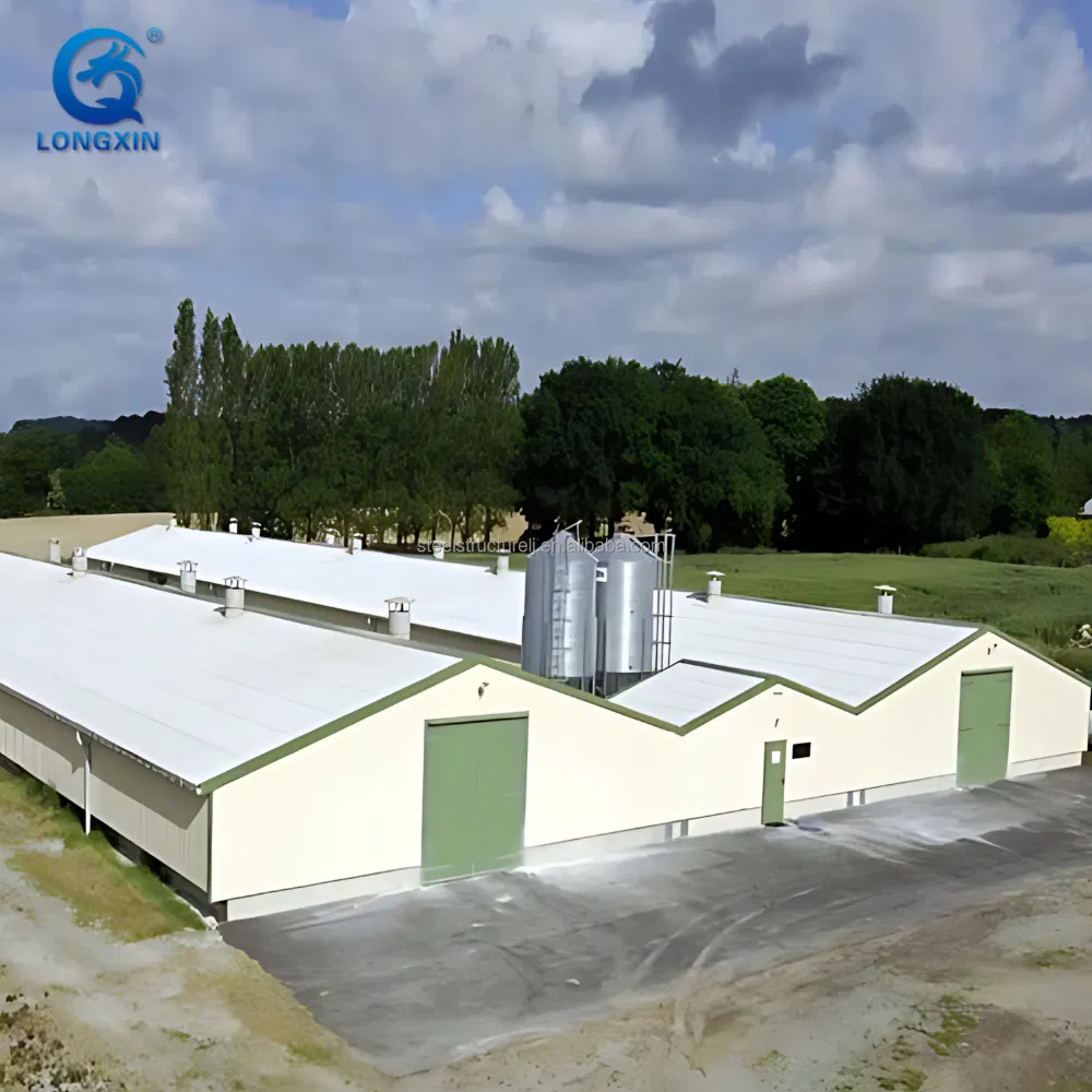 Steel Structure Chicken House Egg Laying Hens Chicken Coop Farm Small Chicken Poultry with Low Price