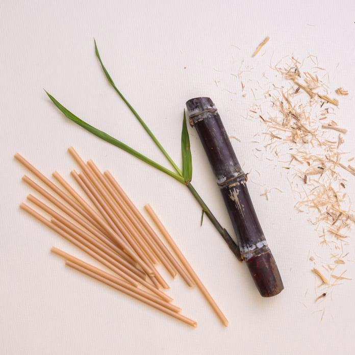 100% Compostable Eco Friendly Biodegradable Drink PLA Free Sugarcane Fiber Straw