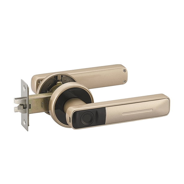 Electronic Modern Fingerprint Code Magnetic Combination Handle Smart Door Lock
