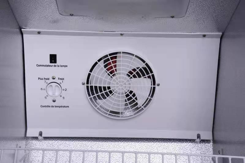 Commercial All-in-One Air-Cooled Frost-Free Glass-Door Mobile Ice Cream Freezer