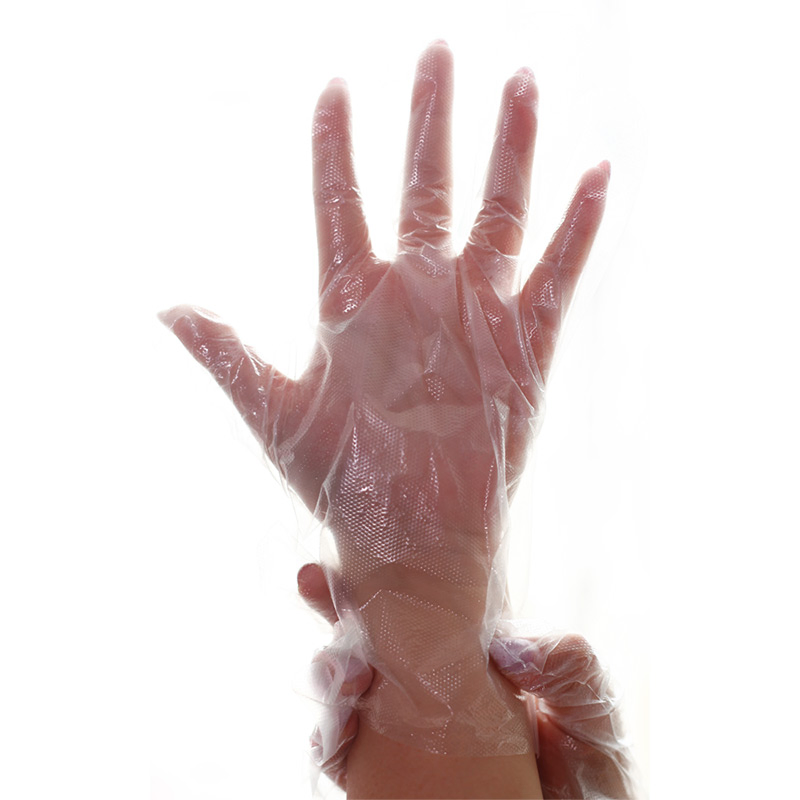 Cheap Salon Clear Color Transparent Sanitary Plastic Disposable Clear Glove