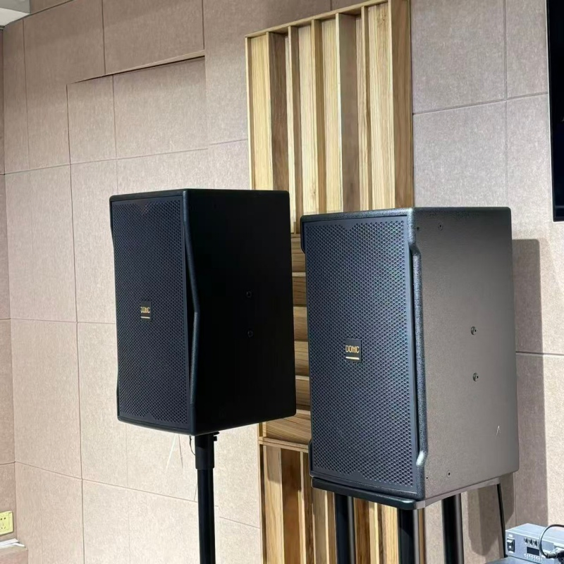 Domc K215 15-Inch Speaker with Wide Frequency Response and Peak Output