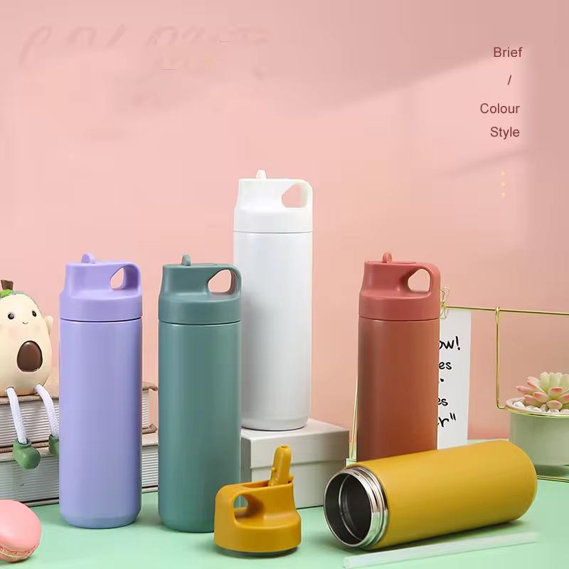 Insulated Drinking Water Bottle Flask with Straw Sports Water Bottle