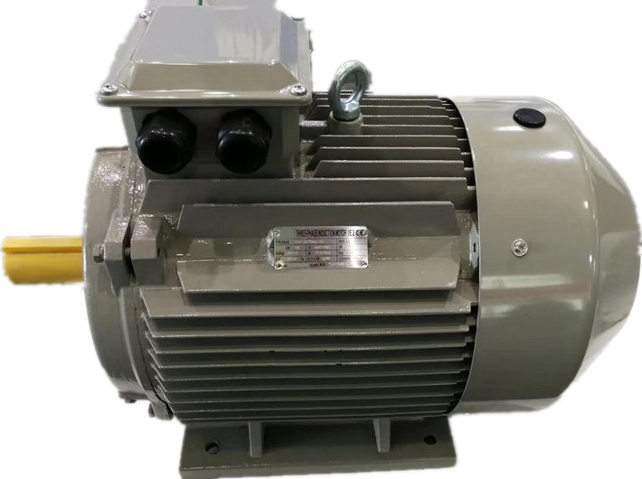 Im1081 GOST Anp Series Three Phase AC Electric Motor