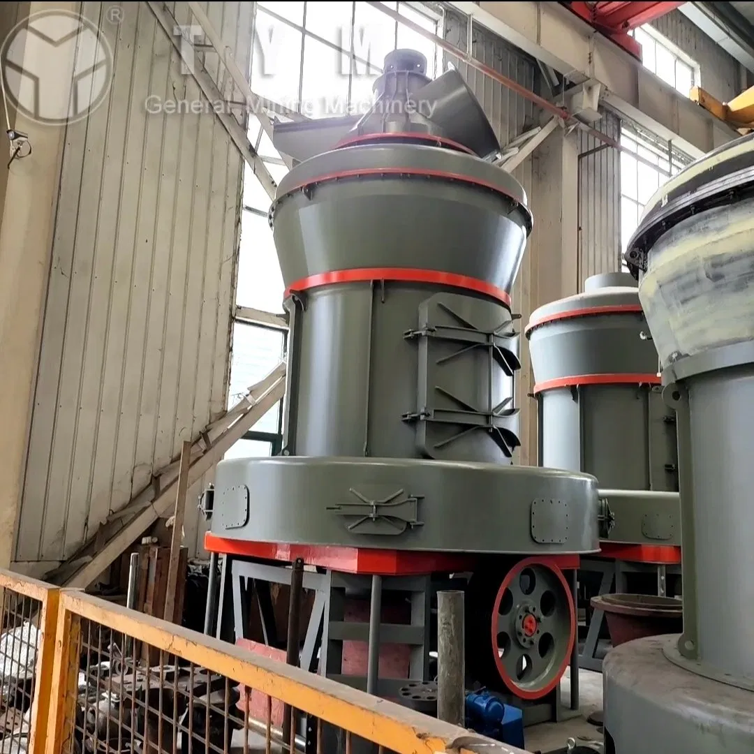 High Quality Gypsum Powder Pulverizer/Micropowder Grinding Mill