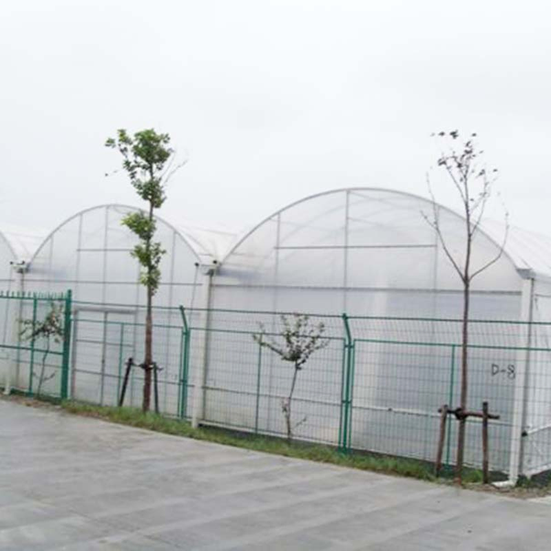 Farm Multi Span Garden Warm Agro Arch Type Vegetables Greenhouse for Agriculture