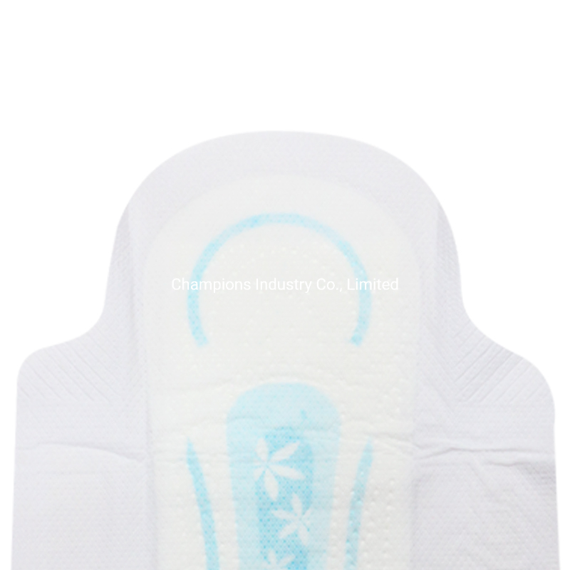 Nature Perfume Women Panties with Private Label Disposable Sanitary Towel Lady Napkin Made in China