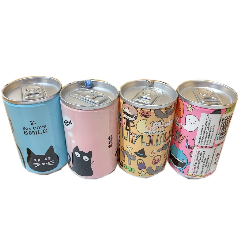 Creative Wet Towel Flip Top Lid Cannister Wet Wipe Tissue Can Canister for Promotion