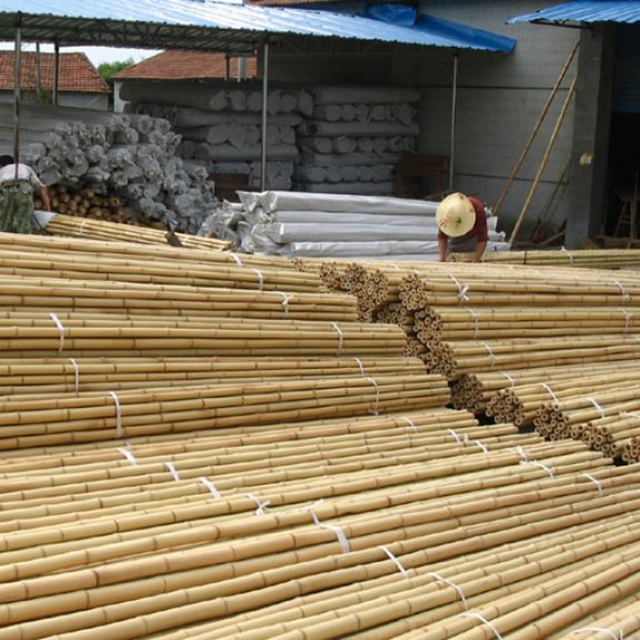 Treated Bamboo Poles for Various Applications Like Gazebo, Constructions, Arbor, Patio etc.