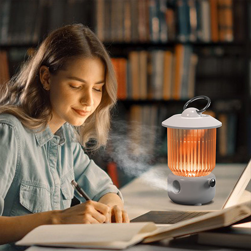 Rechargeable Cool Mist Air Humidifier Portable USB Desktop Air Humidifier with Light