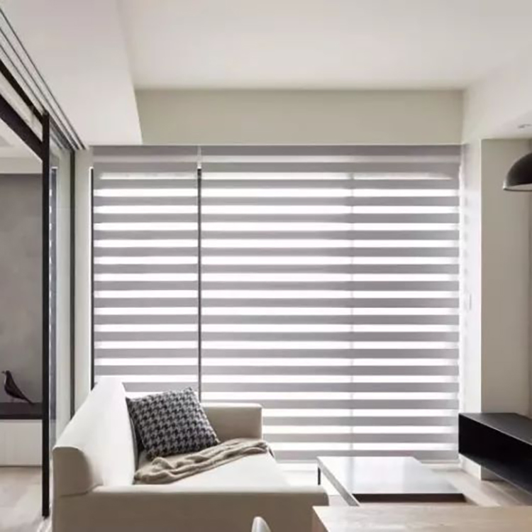 Customized Size Double Layer Window Zebra Shades Blinds