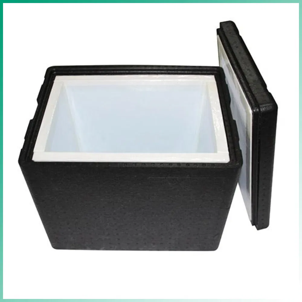 Insulated Box Reusable and Recycling Best Eco-Effency Biopharmaceutical Insulation Box