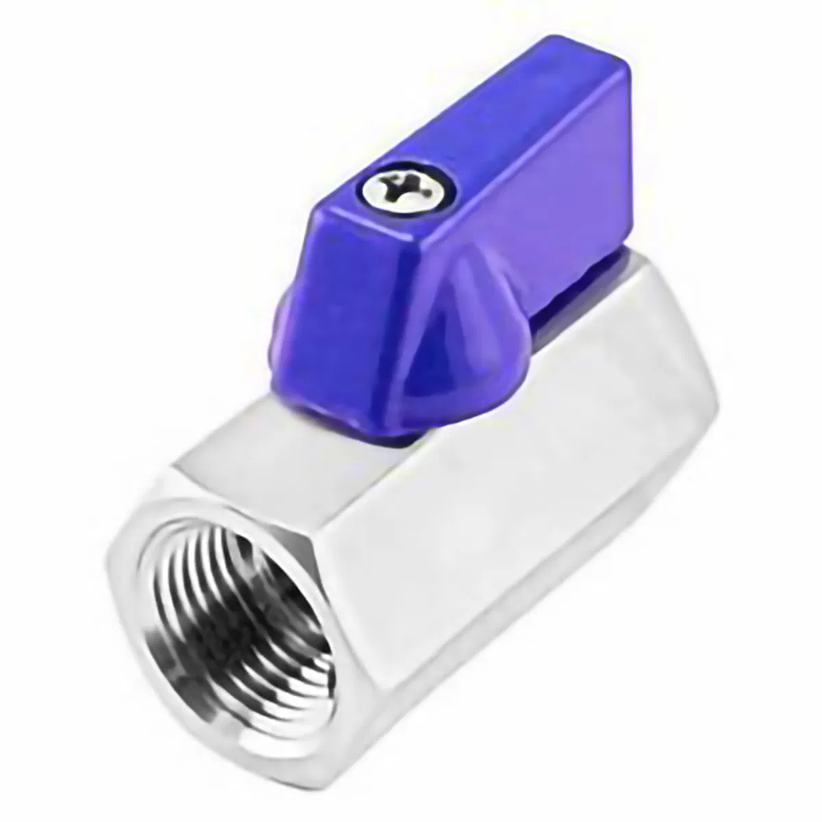 Stainless Steel Mini Ball Valve with Female Thread