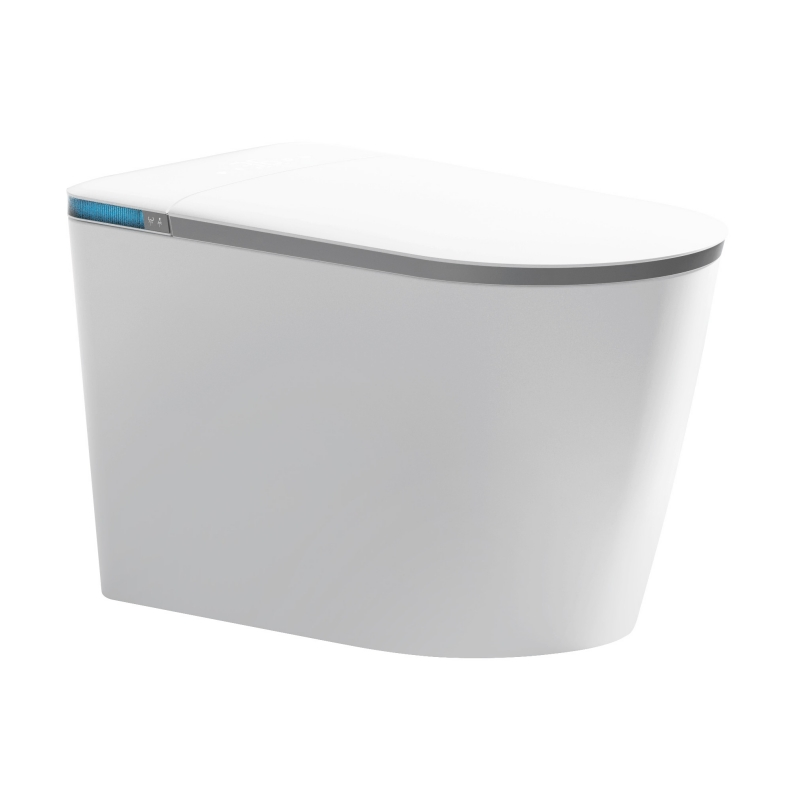 Bestselling Simple and Fashionable Ceramic Remote Control Intelligent Toilet