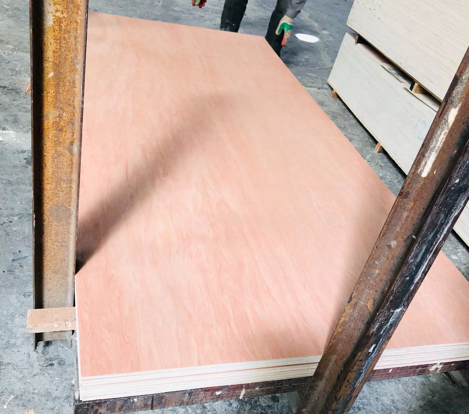 Low Price Plywood for Packaging Moisture Resistant (1220X2440 mm, 12 mm thick)
