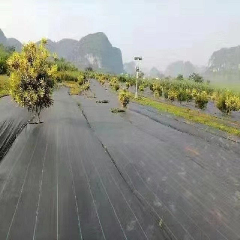 Durable Non-Woven Grass Proof Geotextile for Agriculture Needs