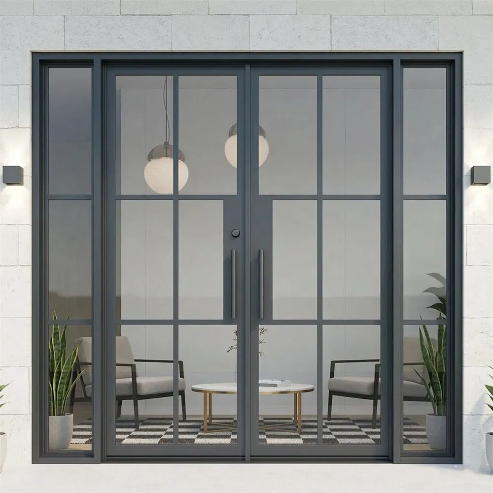 Minimalist French Style Slim Thermal Break Steel Glass Doors with Insulated Foam