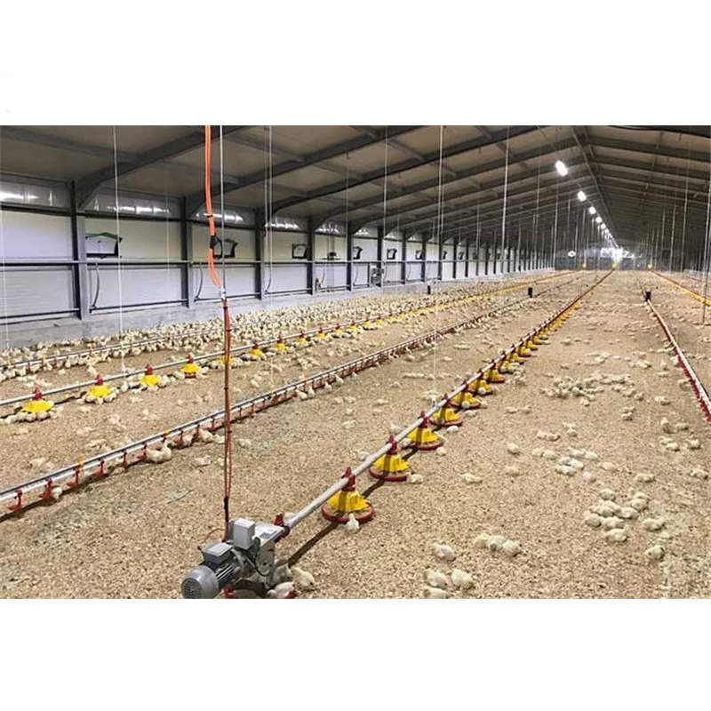 Prefabricated Poultry Farm Shed Commercial Steel Structure Chicken House Design