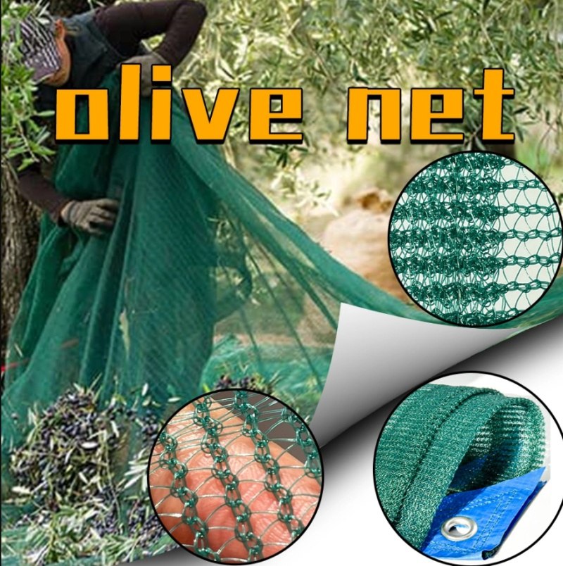 Low Price Dark Green Harvest HDPE Mono Type 4X8m 5*10m 70GSM 80GSM 90GSM 100GSM Olive Net 100%HDPE Olive Harvest Net Olive Protection Fruit Picking Net