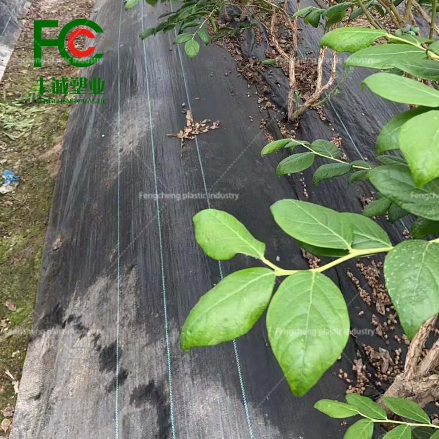 Eco-Friendly Weed Mat for Weed Control and Sustainable Ground Cover