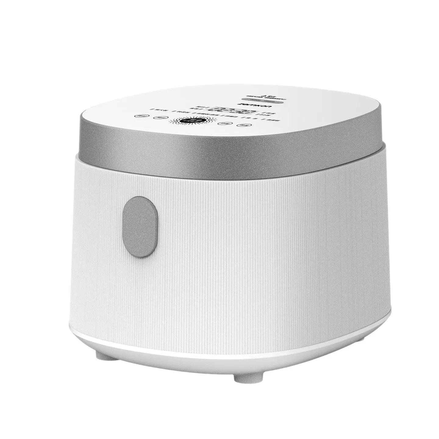 Professional Rice Cooker OEM ODM Factory 110V 220V Wholesale Household Appliance