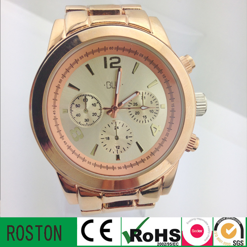 Fashion Quartz Watch for Lady