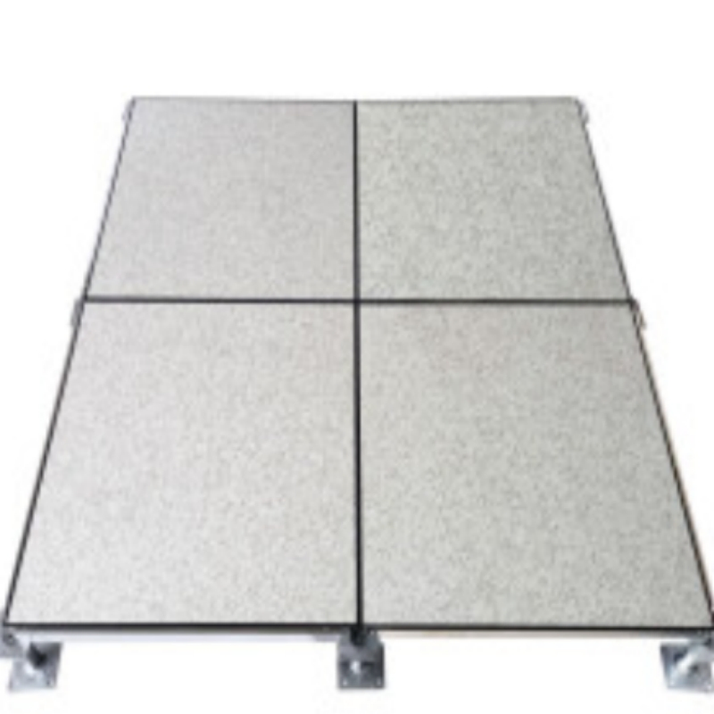 Anti Static Long-Lasting Wooden Core Raised Floor for Power Rooms