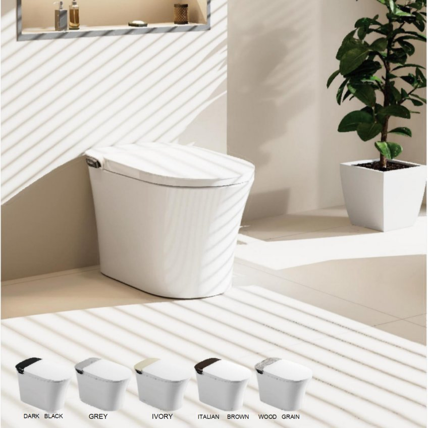 Luxury Modern Intelligent Toilet Integrated Ceramic Remote Control Intelligent Toilet Seat