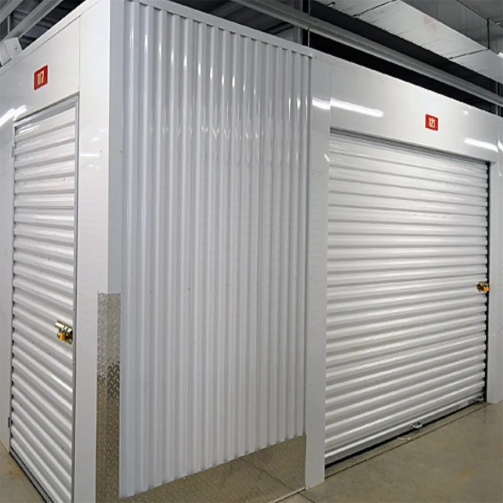 Custom Steel Roll up Door for Shops and Container Storage Needs